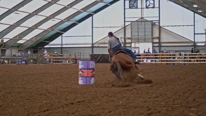 Stallion promotional video